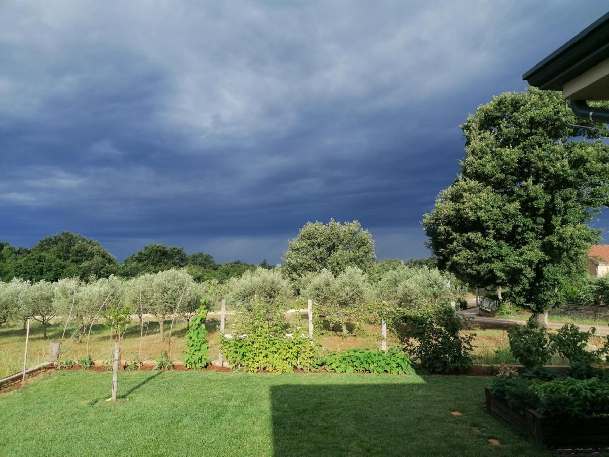 Ferienresidenz Lavandula Nova Vas  المظهر الخارجي الصورة
